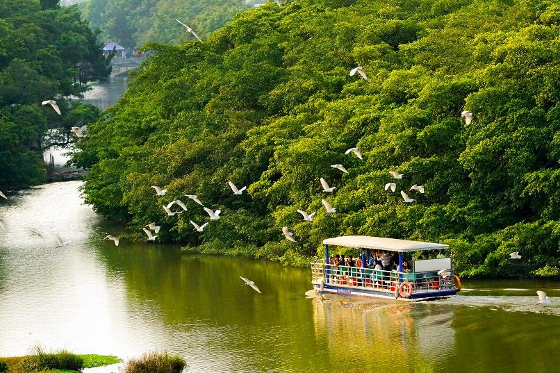 Birds' Paradise